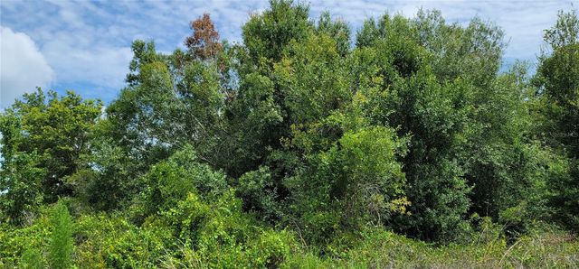 NW 268TH STREET, Okeechobee, FL 34972