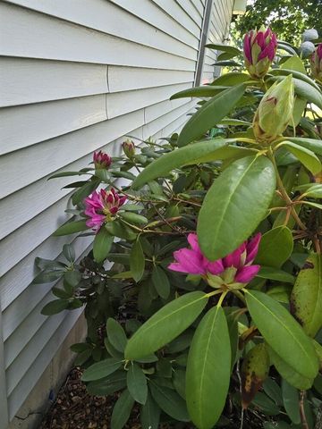 2940 Eldora Court, Byron Center, MI 49315