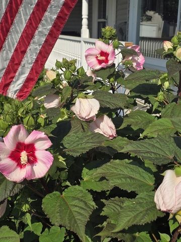 2940 Eldora Court, Byron Center, MI 49315