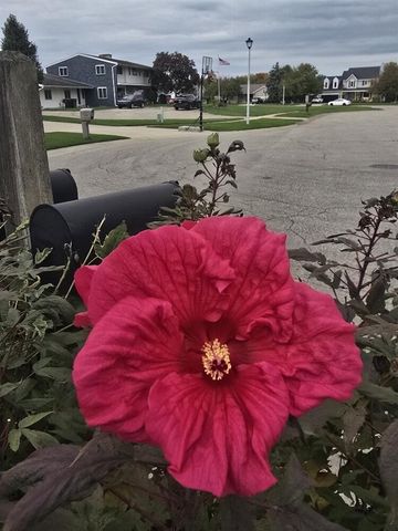 2940 Eldora Court, Byron Center, MI 49315