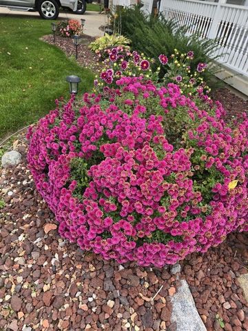 2940 Eldora Court, Byron Center, MI 49315