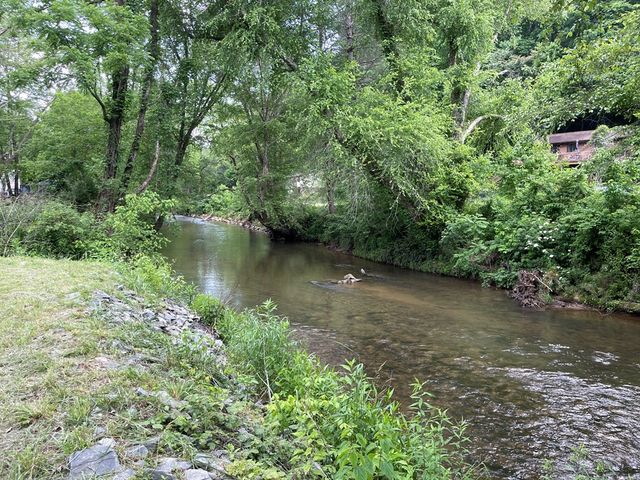 6211 Old Highway 64 W, Warne, NC 28909