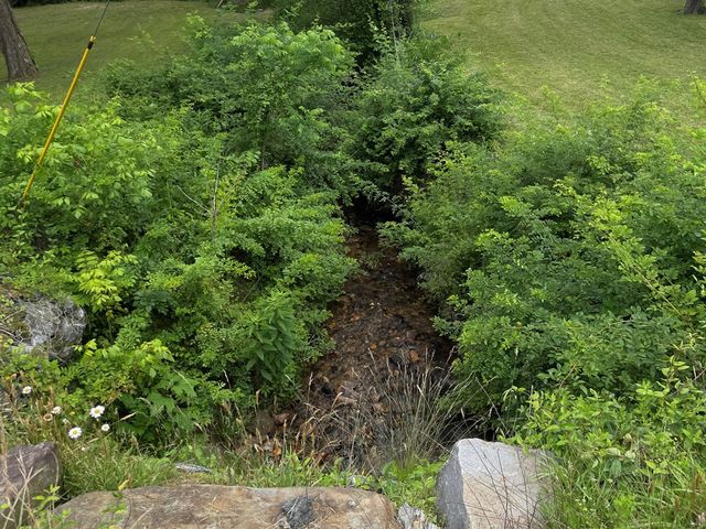 6211 Old Highway 64 W, Warne, NC 28909