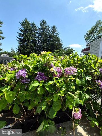 54 BLAKE AVE, Rockledge, PA 19046