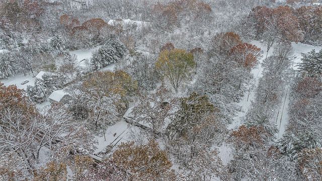 1230 Thomson Road, Howard Twp, MI 49120