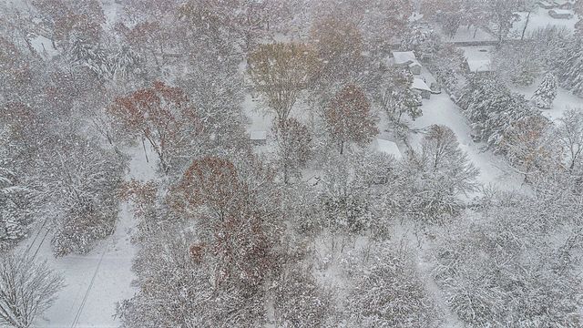 1230 Thomson Road, Howard Twp, MI 49120