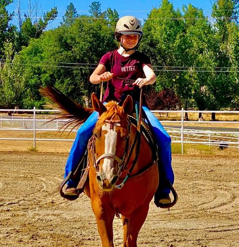 19099 Raboul Court, Groveland, CA 95321