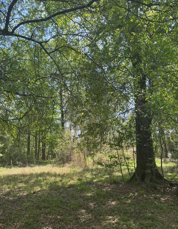 668 County Road 647, Dayton, TX 77535