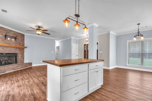 920 Lake Point Road, Eclectic, AL 36024