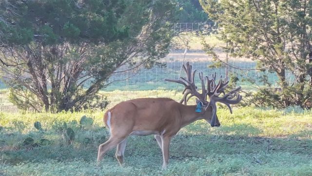 000 FM 2340, Burnet, TX 78611