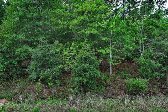 453 Kelley RD, Bastrop, TX 78602