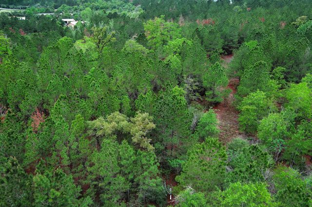 453 Kelley RD, Bastrop, TX 78602