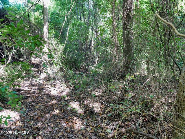 954 Simpson Ditch Road #B, Elizabeth City, NC 27909