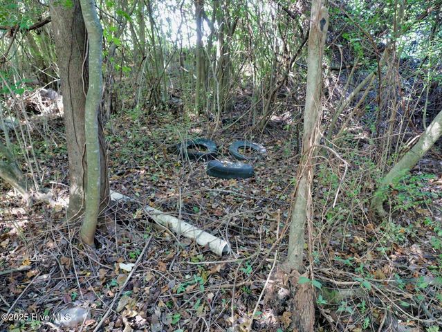 954 Simpson Ditch Road #B, Elizabeth City, NC 27909