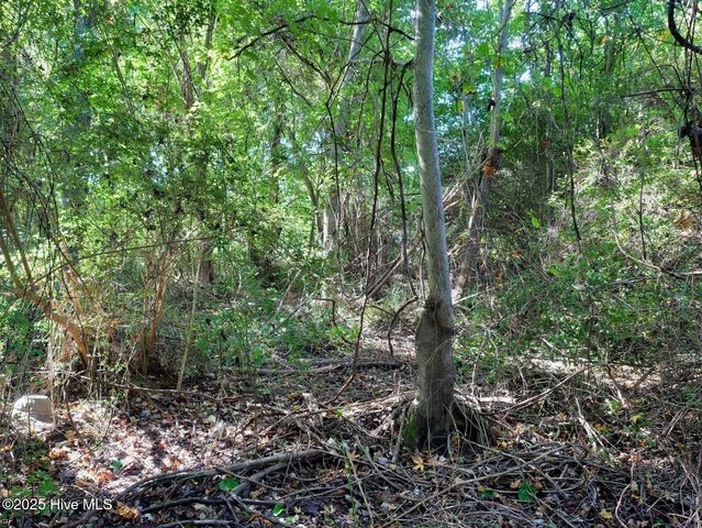 954 Simpson Ditch Road #B, Elizabeth City, NC 27909