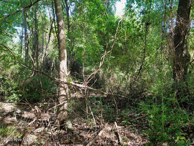 954 Simpson Ditch Road #B, Elizabeth City, NC 27909