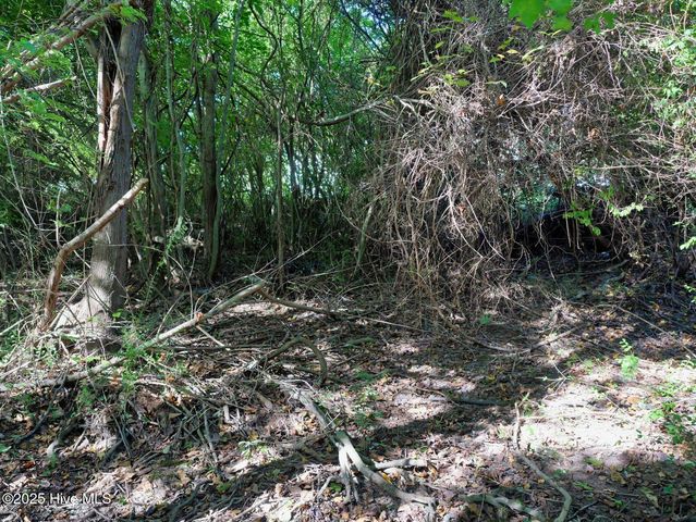 954 Simpson Ditch Road #B, Elizabeth City, NC 27909