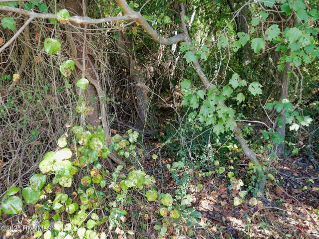 954 Simpson Ditch Road #B, Elizabeth City, NC 27909