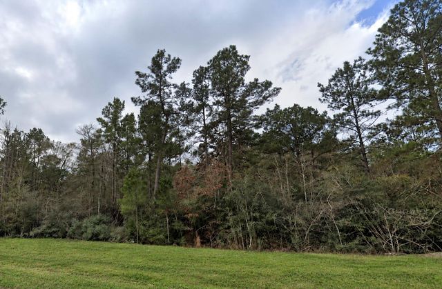 15273 Forest Grove Drive, Willis, TX 77378