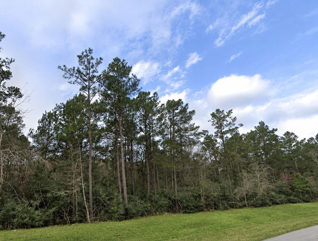 15273 Forest Grove Drive, Willis, TX 77378