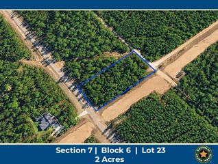 15273 Forest Grove Drive, Willis, TX 77378
