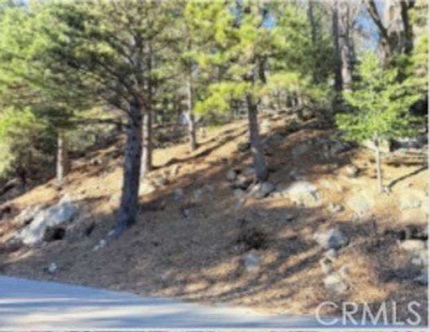 0 Thunderbird, Lake Arrowhead, CA 92352