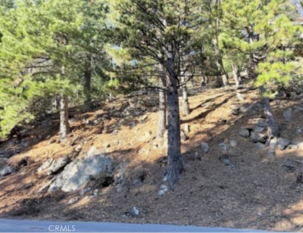 0 Thunderbird, Lake Arrowhead, CA 92352