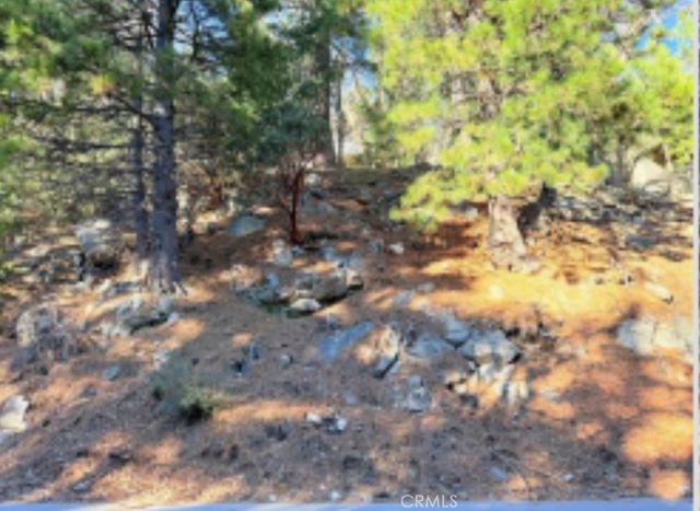 0 Thunderbird, Lake Arrowhead, CA 92352