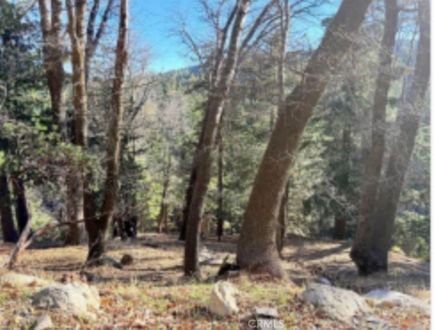 0 Thunderbird, Lake Arrowhead, CA 92352