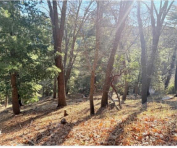 0 Thunderbird, Lake Arrowhead, CA 92352