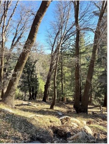 0 Thunderbird, Lake Arrowhead, CA 92352