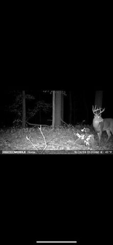 15415 Coalter Avenue, Kent City, MI 49330