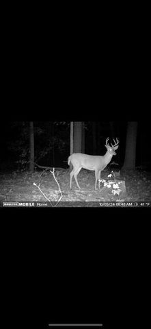 15415 Coalter Avenue, Kent City, MI 49330