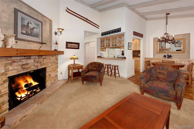 311 S High Street 209, Breckenridge, CO 80424