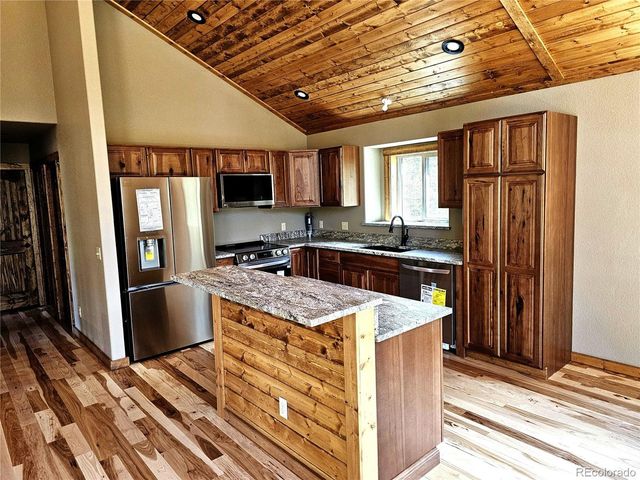 228 Gold Trl, Fairplay, CO 80440