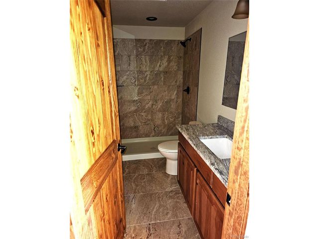 228 Gold Trl, Fairplay, CO 80440