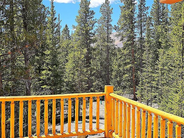 228 Gold Trl, Fairplay, CO 80440