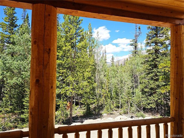 228 Gold Trl, Fairplay, CO 80440