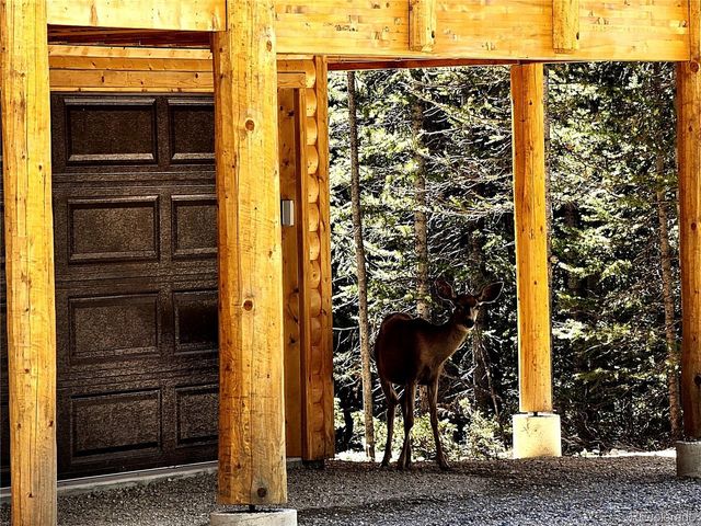 228 Gold Trl, Fairplay, CO 80440