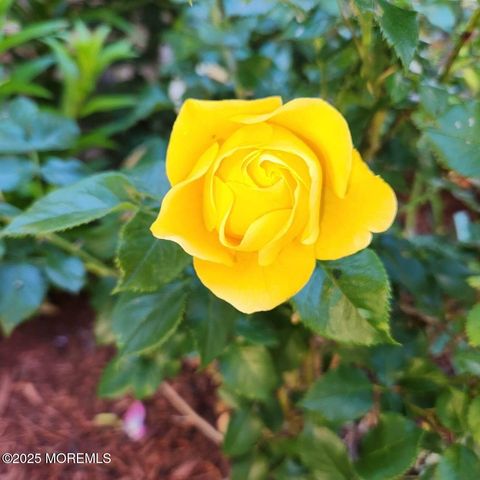 504 Emory Street Unit 2, Asbury Park, NJ 07712