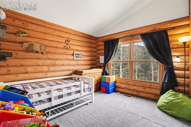 220 Rocky Mountain View, Divide, CO 80814