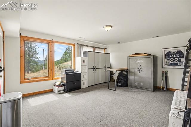 220 Rocky Mountain View, Divide, CO 80814