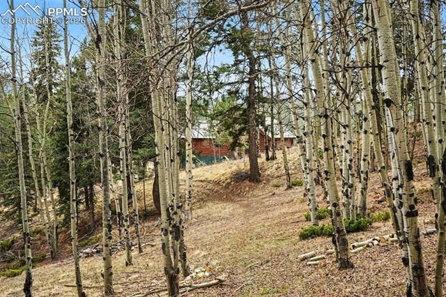 220 Rocky Mountain View, Divide, CO 80814