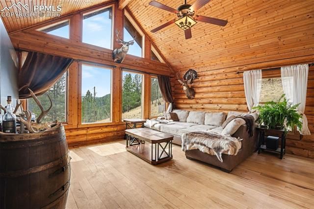 220 Rocky Mountain View, Divide, CO 80814