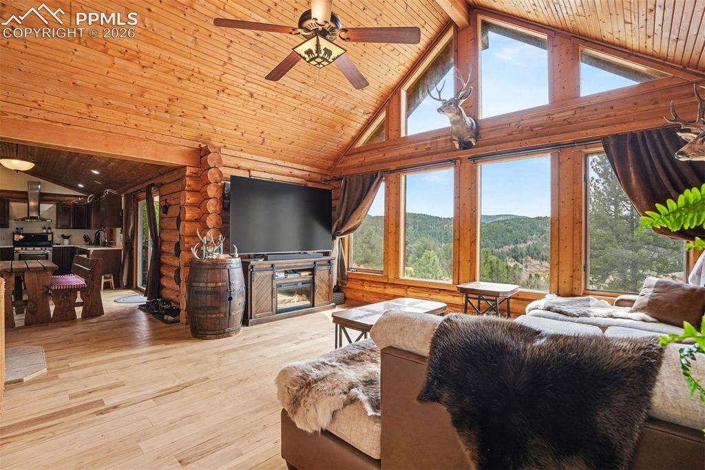 220 Rocky Mountain View, Divide, CO 80814 — photo 3