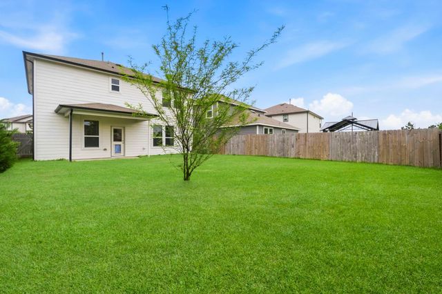 25631 Balsamroot Drive, Magnolia, TX 77355