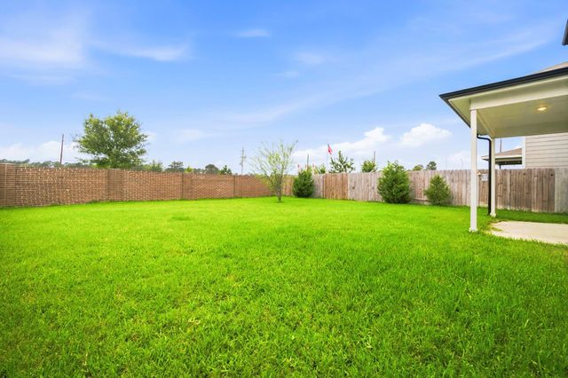 25631 Balsamroot Drive, Magnolia, TX 77355