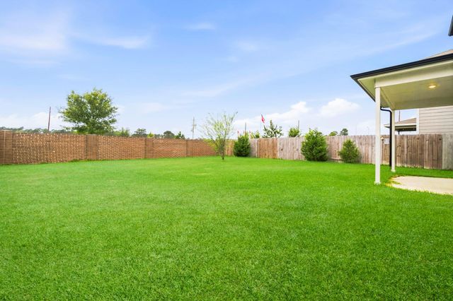 25631 Balsamroot Drive, Magnolia, TX 77355