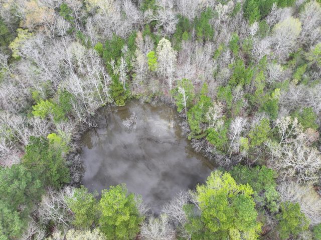 03 Eugene Walker Road, Huntington, TX 75980