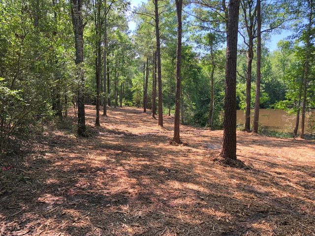 03 Eugene Walker Road, Huntington, TX 75980